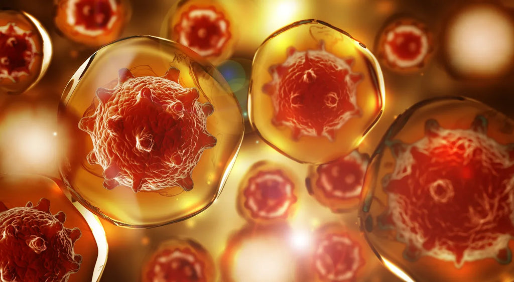 Understanding Autoimmune Diseases: An Integrative Approach with Ayurveda and Modern Science