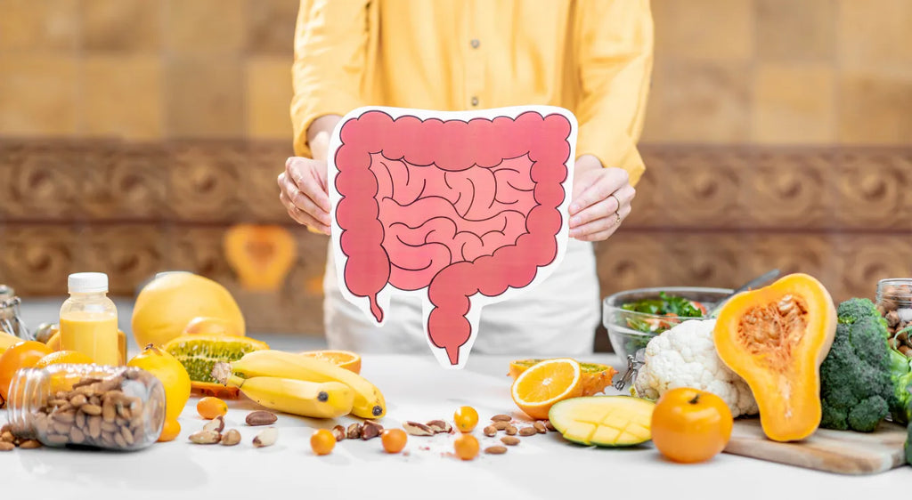 Ayurveda and Gut Health: A Natural Path to Digestive Wellness