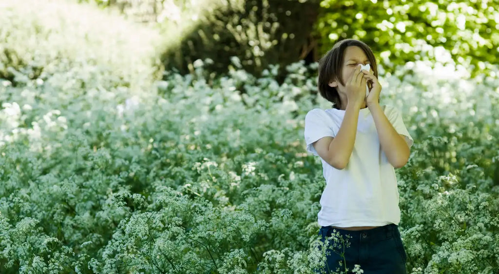 Pollen Allergies and Dehydration: Ayurvedic Remedies as Summer Approaches
