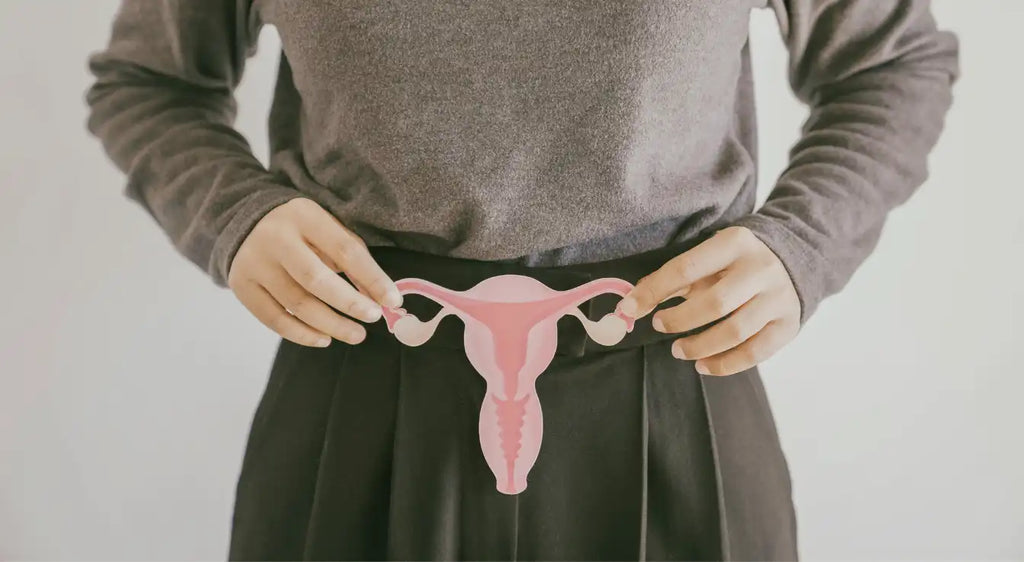 Women's Health Through the Ages: Hormones, Menstruation, Pregnancy & Menopause
