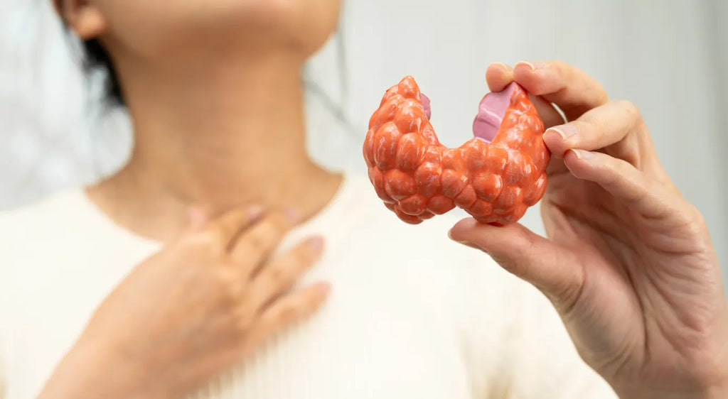 From Inflammation to Restoration: How to Heal Your Thyroid Naturally