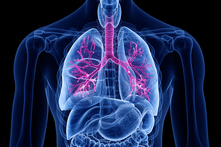 Is Bronchitis Contagious?