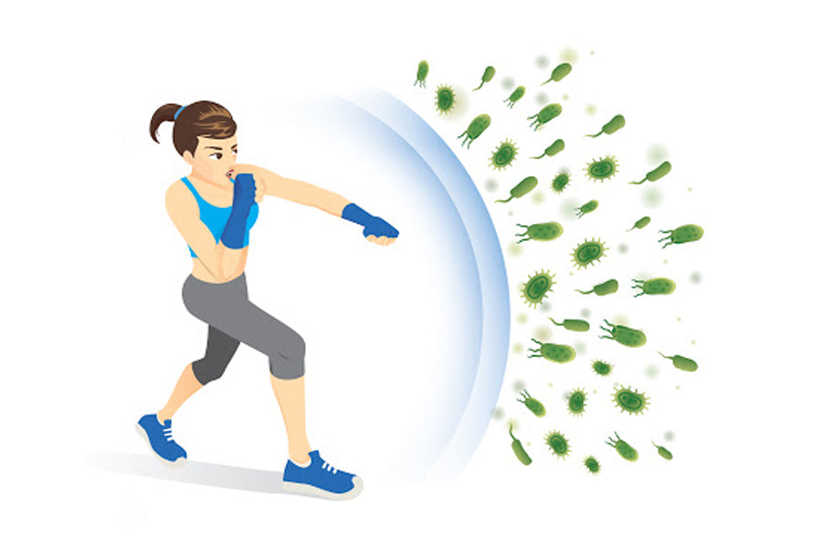 How To Boost Your Immune System With Ayurveda?