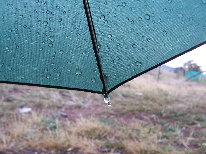 The 10 Most Useful Ayurvedic Tips To Cope With Monsoons