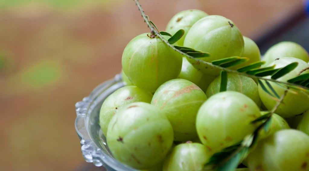 Everything You Need To Know About The Benefits Of Chyavanaprash