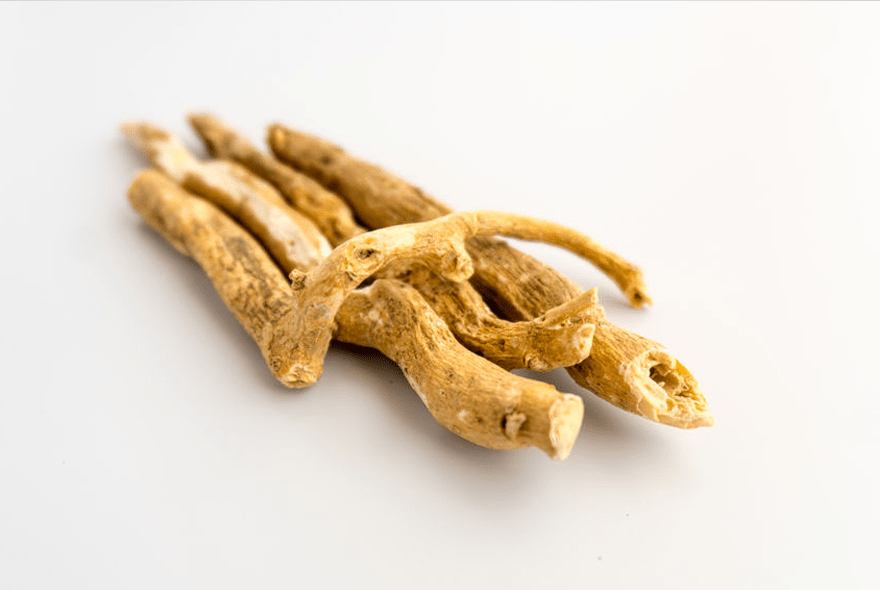Health Benefits of Ashwagandha