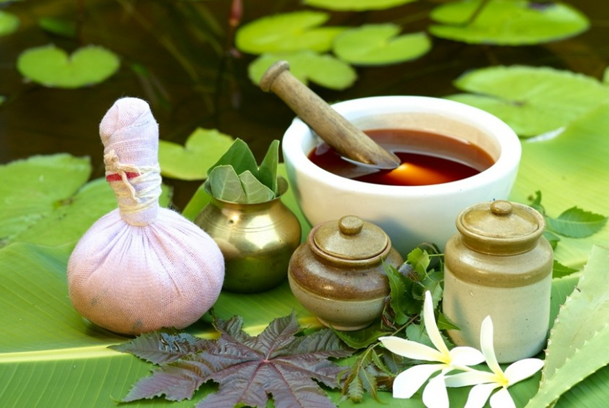 Understanding Ayurveda And Its Benefits