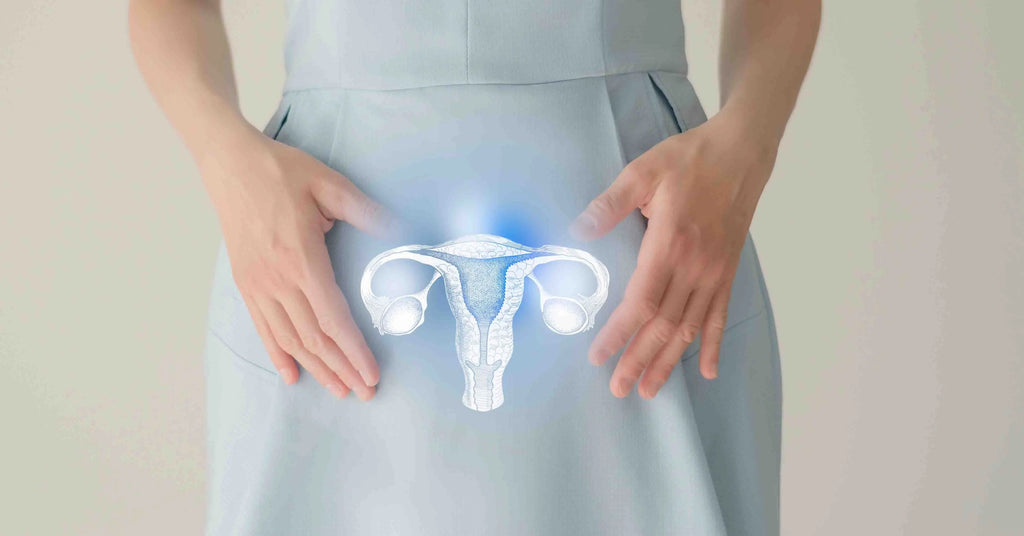 Ayurvedic Medicine for Fibroids - A Woman's Journey to Wellness