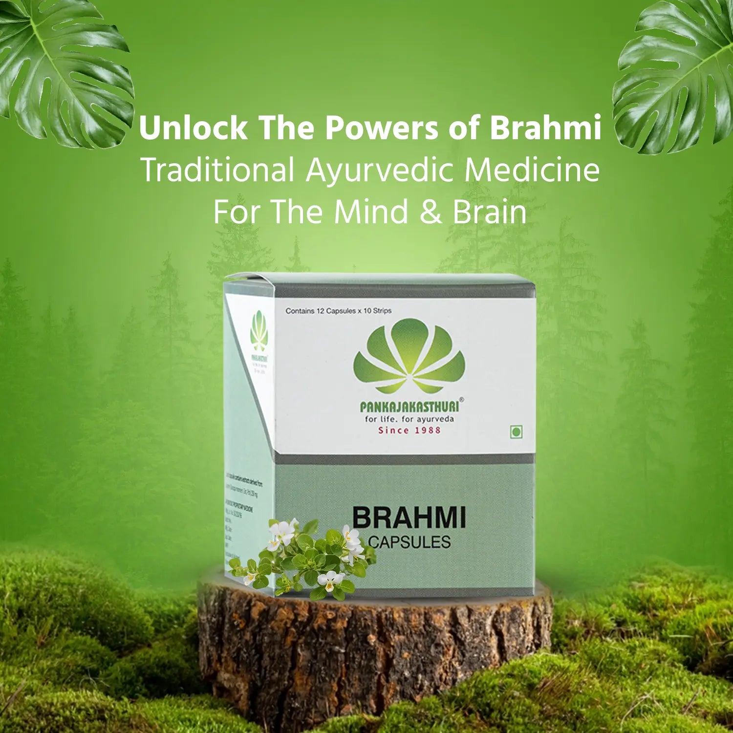 Brahmi Capsules