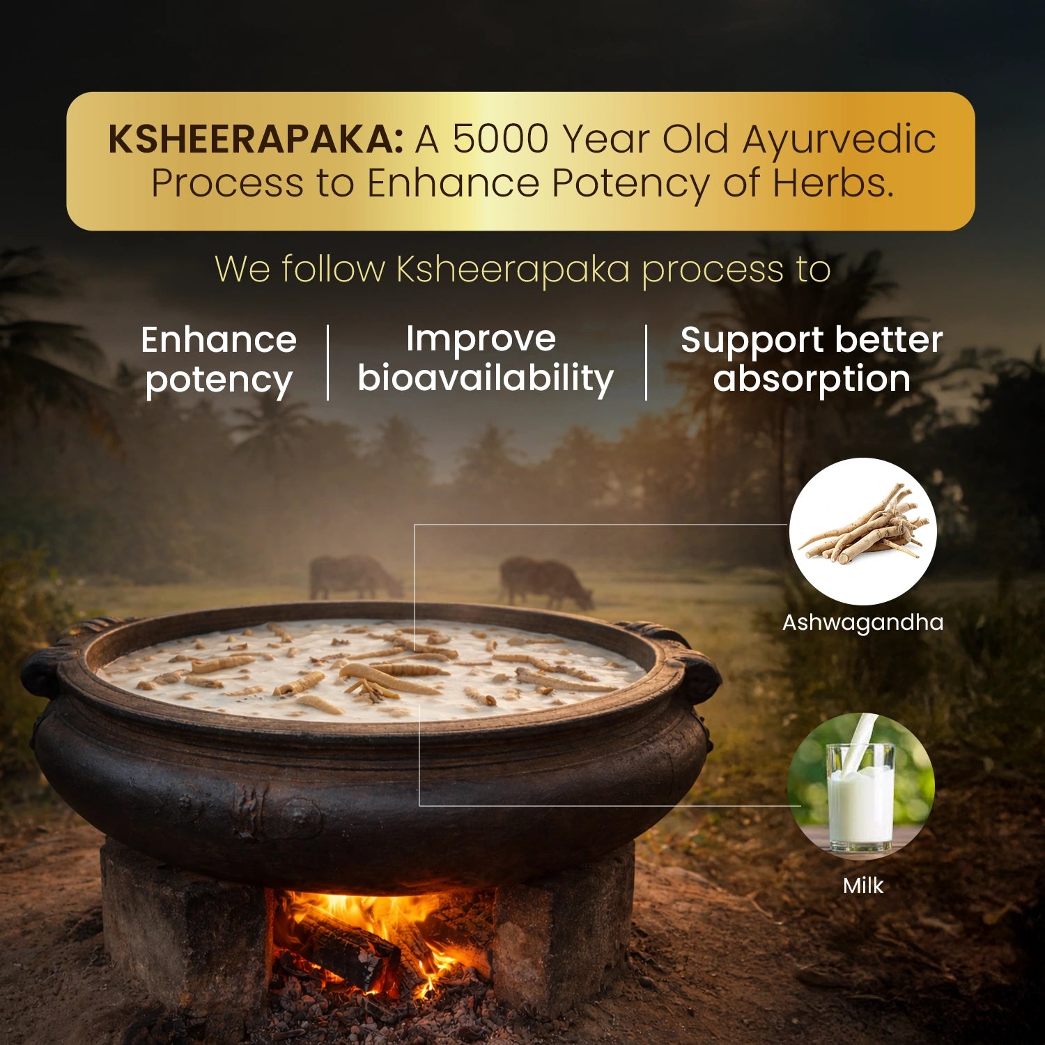Ashwagandha Tablets | Relieves Stress & Boosts Energy -