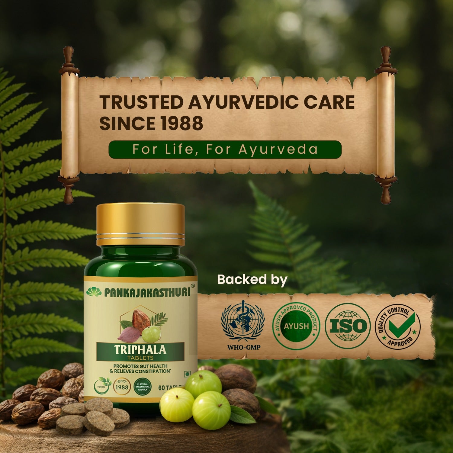 Triphala Tablets | Promotes Gut Health & Relieves Constipation