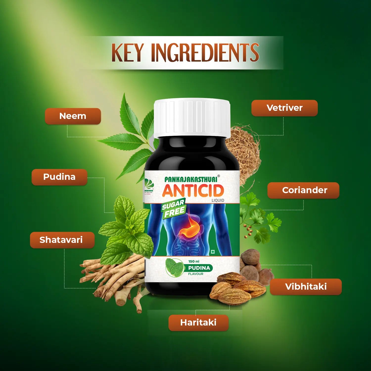 Anticid Liquid Pudina - Sugar Free