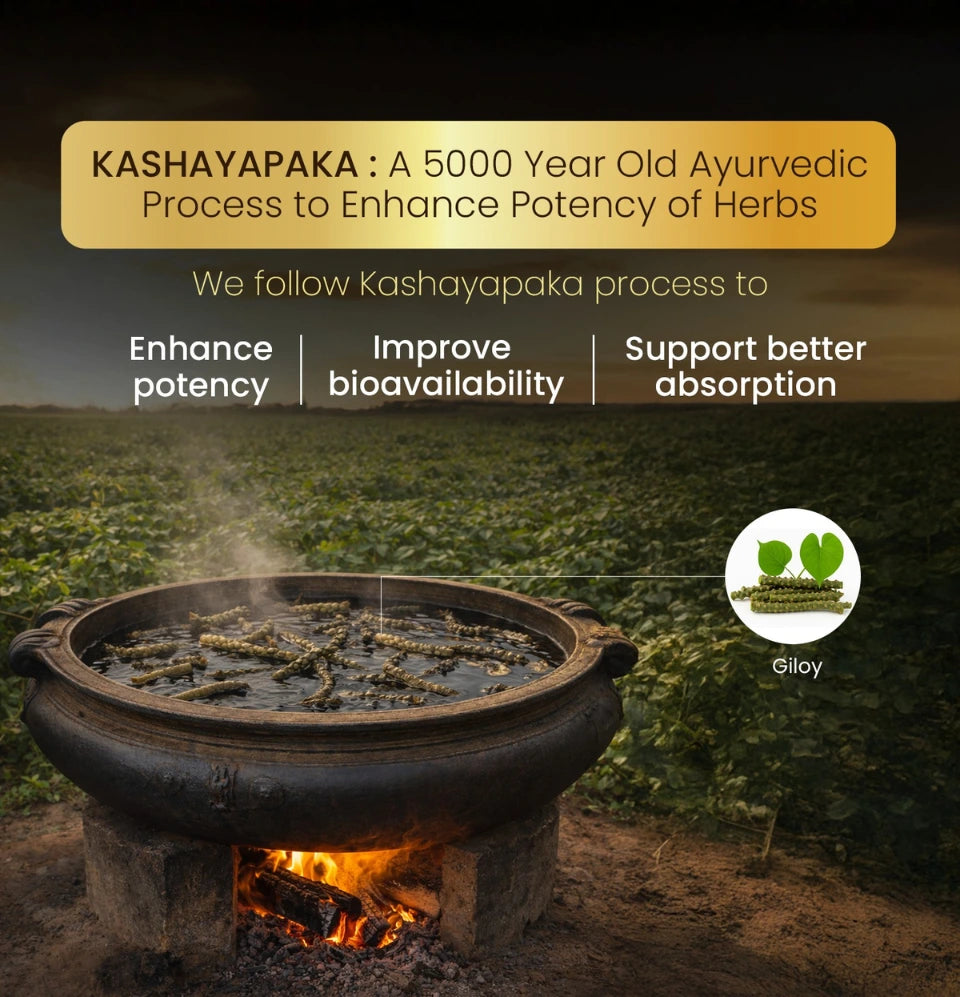 Giloy Tablets | Fights Infections & Boosts Immunity